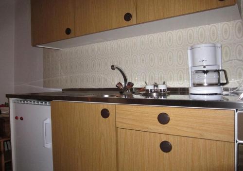 a kitchen with a sink and a counter top at Fuldera Daint chasa Zanoli Whg im zweiten Stock in Fuldera