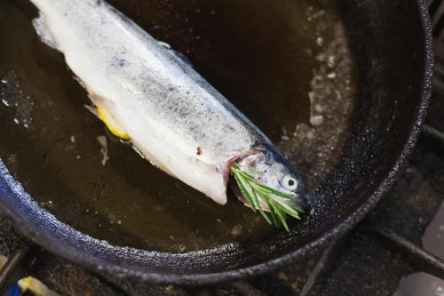 two fish are cooking in a pan at Altwernigeröder Apparthotel in Wernigerode