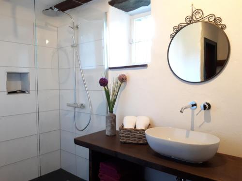 a bathroom with a sink and a shower at Landhaus am Aremberg / Eifel in Antweiler