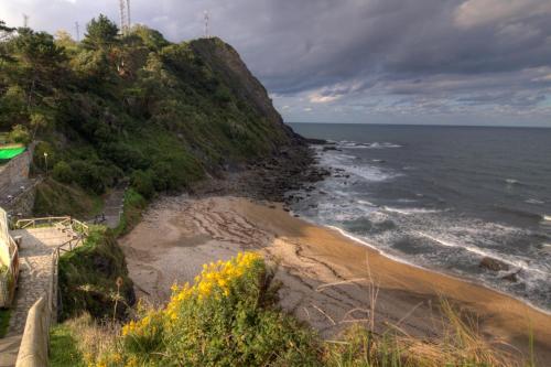 a view of the ocean from a hill with flowers at Apartamentos Las Vegas in Ribadesella