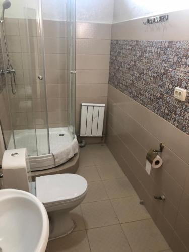 een badkamer met een douche, een toilet en een wastafel bij Satti in Zharkent
