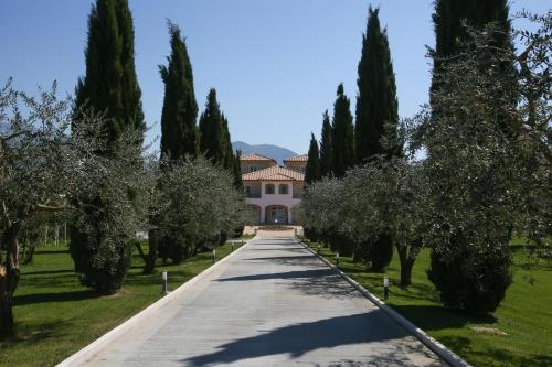 a road in front of a house with trees at Anima Antiqua Relais & Spa in Gioia Sannitica