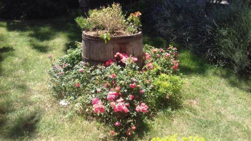 B&B Casa Losea – Photos 4