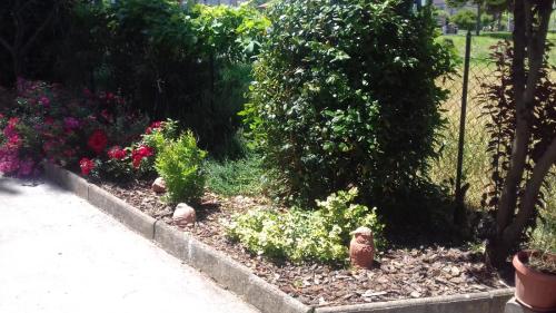 B&B Casa Losea – Photos 5