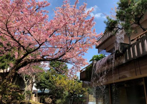 a tree with pink flowers in front of a building at Atami Kinjokan in Atami