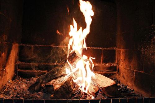 a fire in a brick oven with flames at HOME 6 in Tbilisi City