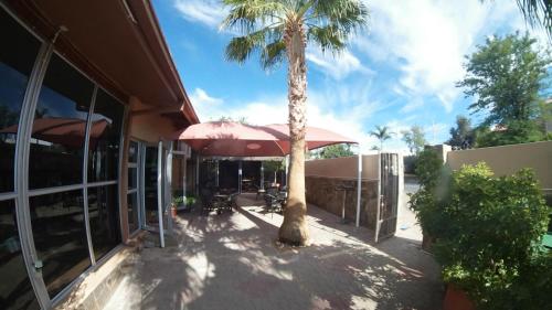 a palm tree next to a building with a palm tree at Esperanca Guesthouse in Windhoek