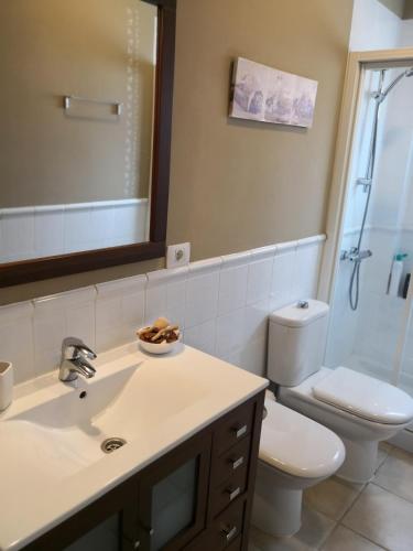 a bathroom with a sink and a toilet and a shower at Acogedora Vivienda Vacacional en Candelaria in Candelaria