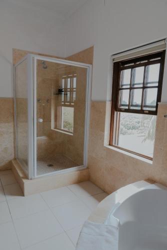 a bathroom with a glass shower with a window at Cana Vineyard Guesthouse in Paarl