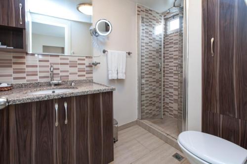 a bathroom with a shower and a sink and a toilet at Résidence Le Rêve in Istanbul