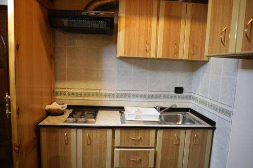 Kuchyň nebo kuchyňský kout v ubytování Viccini Suites