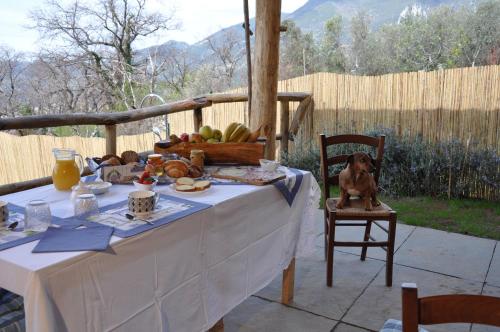een tafel met een hond op een stoel met eten erop bij B&B IL VOLO in Camaiore