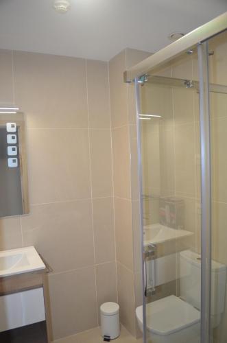 a bathroom with a shower with a toilet and a sink at Hotel Onyarbi in Hondarribia