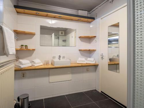 een badkamer met een wastafel en een spiegel bij Koetshuis Nunspeet in Nunspeet