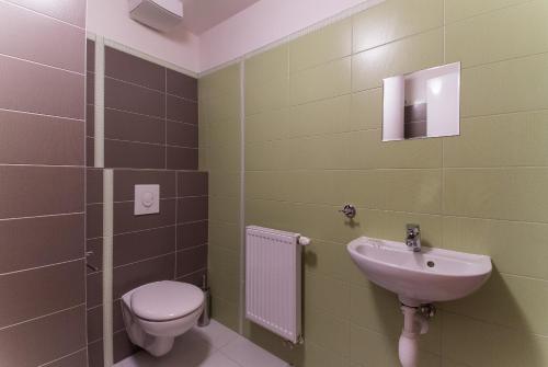 a bathroom with a toilet and a sink at Apartmán U Lázní D23 in Třeboň