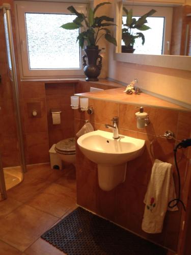 een badkamer met een wastafel, een toilet en een raam bij Instyle in Blankenbach
