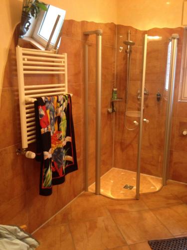 a shower with a glass door in a bathroom at Instyle in Blankenbach