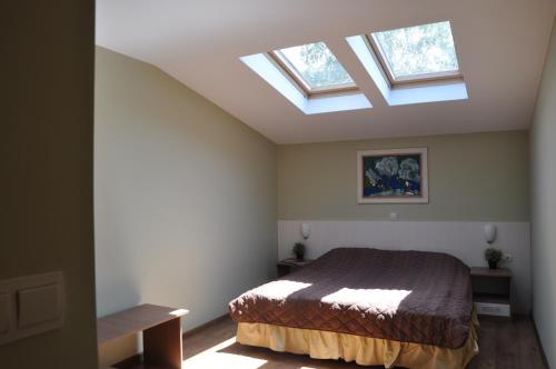 a bedroom with a bed and two skylights at Rado Apartments in Sapareva Banya