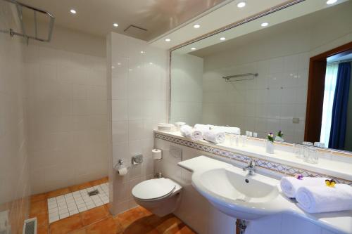 a bathroom with a sink and a toilet and a mirror at Stade Land Golf Hotel in Deinste