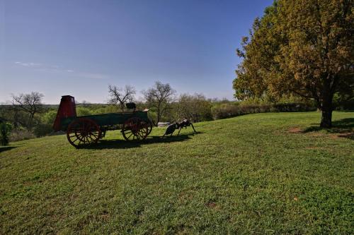 a dog pulling a horse drawn carriage in a field at Live Oak B&B in Glen Rose