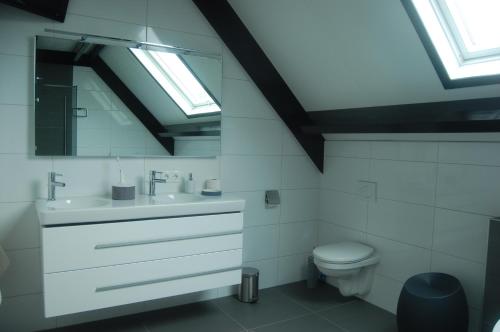 a bathroom with a toilet and a sink and skylight at Toenders in Wintelre