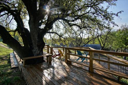 a wooden deck with a tree and a fence at Live Oak B&B in Glen Rose