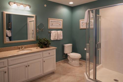 La salle de bains est pourvue de toilettes, d'un lavabo et d'une douche. dans l'établissement Palace View Resort by Spinnaker, à Branson