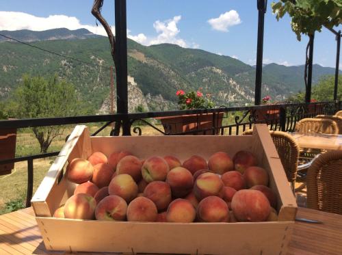 a box of apples sitting on top of a table at Appartement Clôt de Félines in Entrevaux