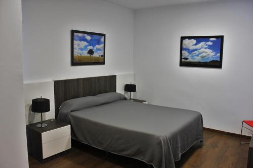 Postel nebo postele na pokoji v ubytování Apartamentos Embalse de Orellana