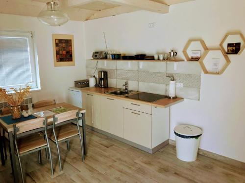 Kuchyň nebo kuchyňský kout v ubytování Apartmán Pavlenka