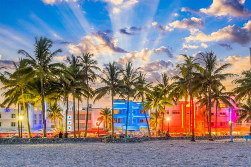 a beach filled with palm trees and palm trees at Cardozo Hotel in Miami Beach