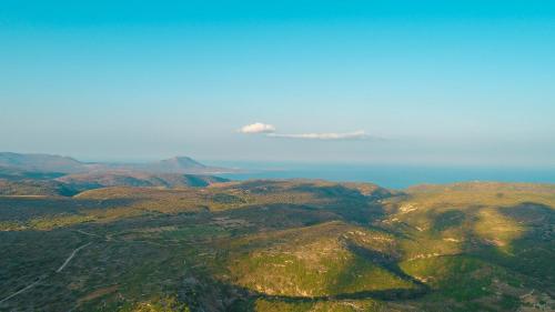 Gallery image of Theofilos Appartements in Livadi
