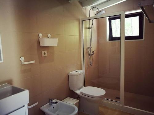 a bathroom with a shower and a toilet and a sink at Quinta dos Morangueiros in Armamar