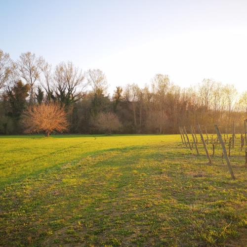 a field with a fence in the middle of it at Da Foschetta in Matelica