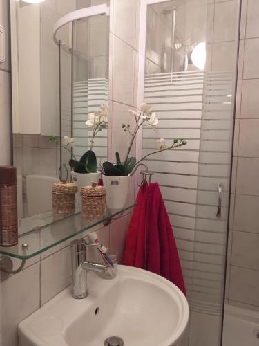 a bathroom with a sink and a red towel at Apartment Majda in Lendava