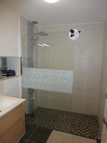 une salle de bain avec une douche avec un lavabo et une baignoire dans l'établissement la longère de l allée du château de Cheverny, à Cheverny