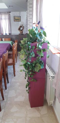 Posezení v ubytování Hostal El Tropezón