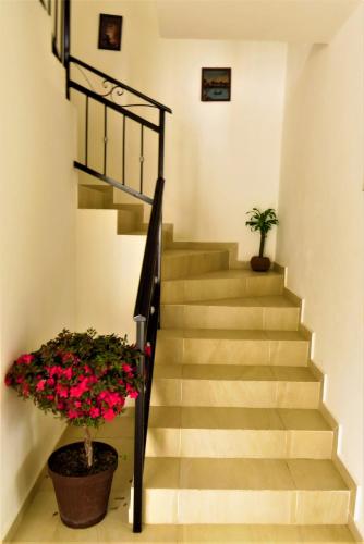 a staircase with two potted plants and flowers at Casa Blanca Hotel in Jalpan