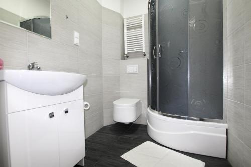 a bathroom with a shower and a sink and a toilet at Apartamenty Południowa in Szczecin