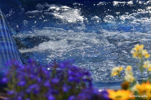 a pool of water with purple and yellow flowers at Agama in Livnim