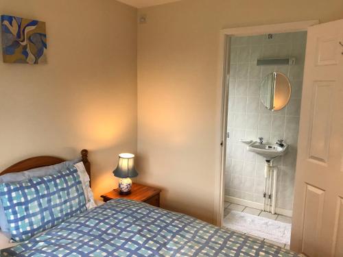 a bedroom with a bed and a bathroom with a sink at Barnfield Bed and Breakfast in Downton