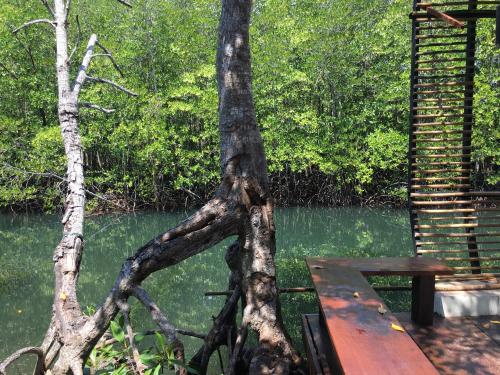 a table and bench next to a tree next to a river at Escape Life Koh Kood in Ko Kood