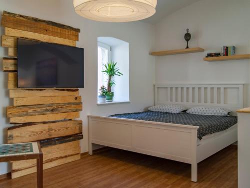 um quarto com uma cama e uma televisão de ecrã plano em Domizil am Kaitzbach em Dresden