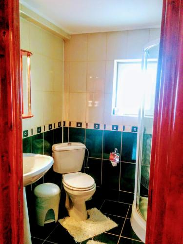 a bathroom with a toilet and a sink at Pensiunea Denisa Stoian in Moieciu de Jos