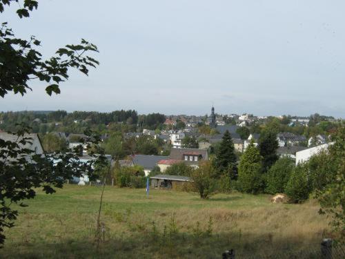 einen Blick auf eine Stadt von einem Feld mit Häusern in der Unterkunft Gasthof Napoleon in Selbitz