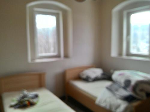 2 łóżka w małym pokoju z 2 oknami w obiekcie Kanada Inn u Klínovce w mieście Vejprty