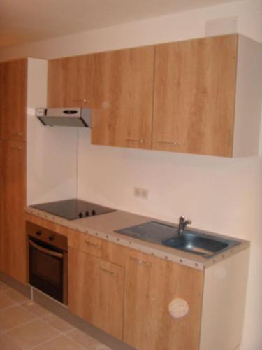 une cuisine avec des armoires en bois et un évier dans l'établissement appartement cosy, à Sarlat-la-Canéda