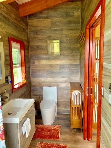 a bathroom with a toilet and a sink at Volcano Eco Cabin & Eco Lodge in Volcano