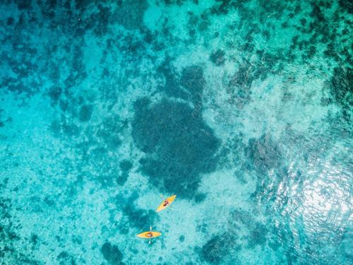 Vue de tête de deux planches de surf dans l'océan dans l'établissement Club Tara Island Resort, à Socorro
