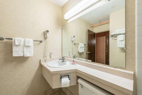 a bathroom with a sink and a mirror at Econo Lodge in Brainerd